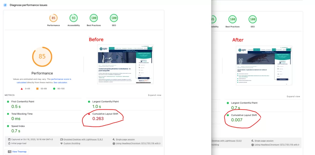 CLS fix for wp website