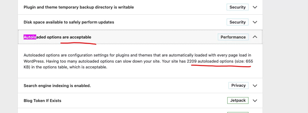 Big WooCommerce site optimization